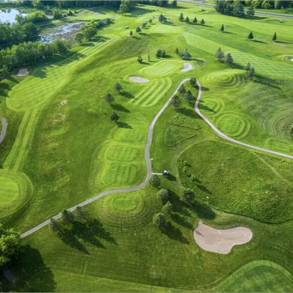 Nike Men's Yellow Dri-FIT Short Sleeve Golf Polo - Picture 12 of 13